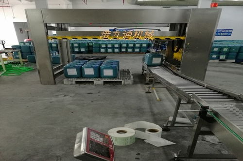 瑪曲涂料碼垛機生產線
